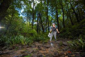 BIB: 
                            <button type="button" onclick="openModal(19231341)" class="btn btn-primary btn-sm float-right btn-popup" data-toggle="modal" data-target=".modal-high-quality">
                        <i class="fas fa-shopping-cart"></i> Add to Cart
                    </button>
                                            <button type="button" onclick="isThisMe(19231341, true)" class="btn btn-success btn-sm float-right btn-popup btn-isme hidden" data-toggle="tooltip" data-placement="bottom" title="นี่คือรูปของคุณใช่ไหม คลิกที่นี่เพื่อเอาเข้าอัลบั้ม">
                        <i class="fas fa-plus"></i> Add to album
                    </button>
                    <button type="button" onclick="isThisMe(19231341, false)" class="btn btn-warning btn-sm float-right btn-popup btn-isnotme hidden">
                        <i class="fas fa-ban"></i> Remove from album
                    </button>